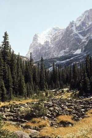 The Canadian Rockies in Yoho National Park, British Columbia, Canada.