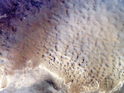 Aral Sea dust storm