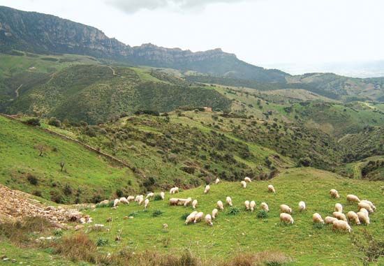 Gennargentu massif