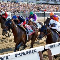 Tonalist (11), ridden by jockey Joel Rosario, edges out Commissioner (8), with Javier Castellano up, to win the 146th running of the Belmont Stakes horse race in Belmont, New York, on June 7, 2014.