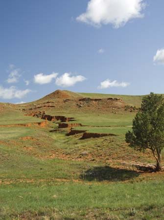 Wind Cave National Park