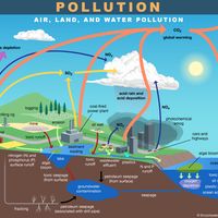 Air, land, and water pollution. Other types of pollution: plastic, noise, light, and thermal. infographic