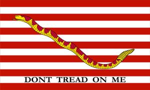 First Navy Jack flag