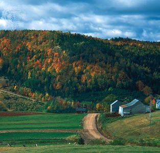 Forested hills rising behind a small farm near Waterford, N.B.