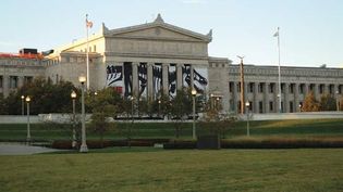 Field Museum of Natural History, Chicago