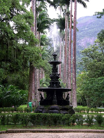 Rio de Janeiro Botanical Garden