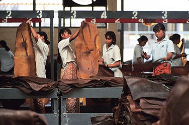 smoked sheets of natural rubber being inspected and trimmed before being packed into bales