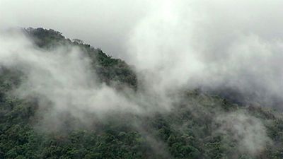 How fog forms