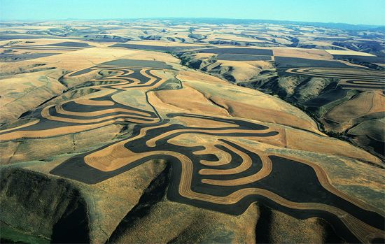 contour farming; strip cropping