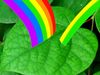 The video thumbnail image shows a green leaf with a rainbow graphic arcing towards it.