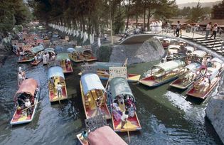 Xochimilco: floating gardens