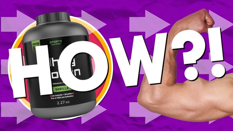 How does protein help build muscles?