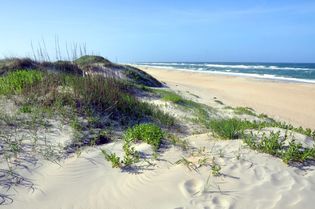 Cape Hatteras National Seashore