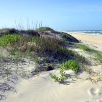 Cape Hatteras National Seashore