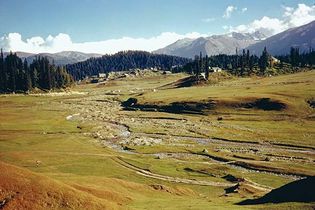 Jammu and Kashmir: montane vegetation