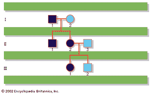 family pedigree