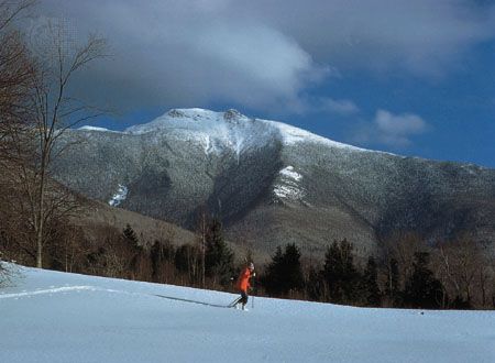 Cross-country skier