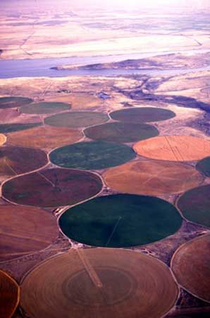 irrigation: irrigation near Columbia River, Oregon