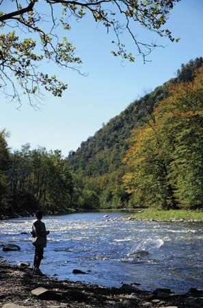 Pine Creek Gorge