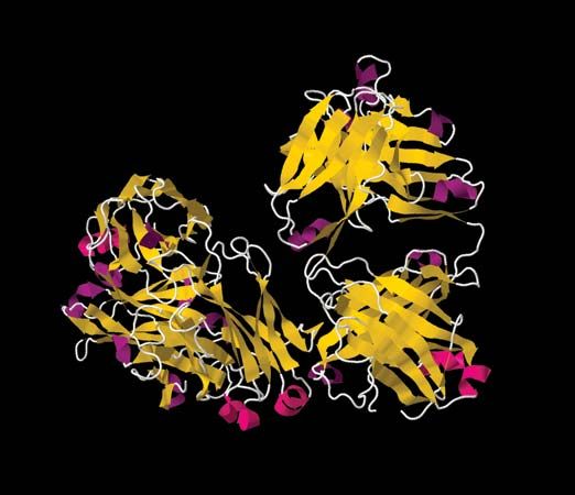 targeted therapy for cancer; rituximab