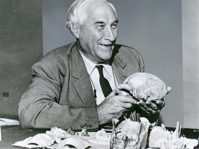 Louis S.B. Leakey