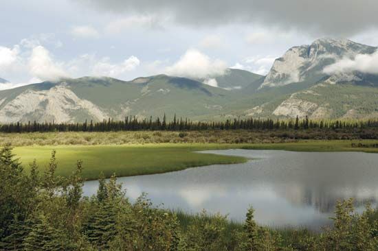 Jasper National Park, western Alberta, Canada.