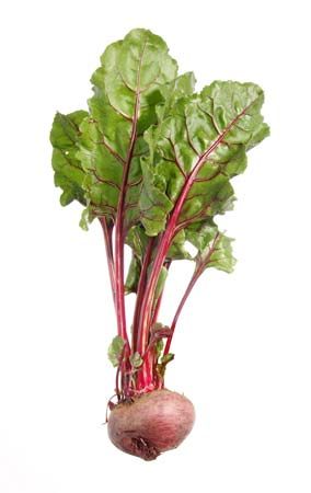 beet