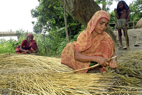 jute processing