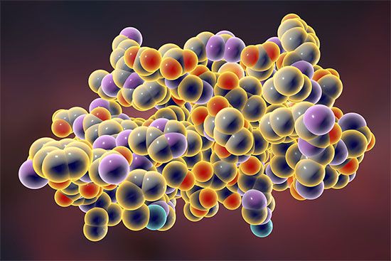 macromolecule; insulin