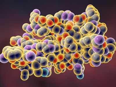 macromolecule; insulin