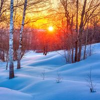 Colorful winter sunset