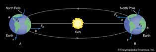 forces acting on Earth's equatorial bulges