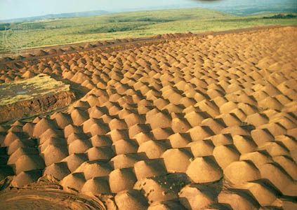 Gabon: manganese mine