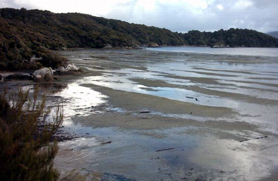 Stewart Island/Rakiura, New Zealand