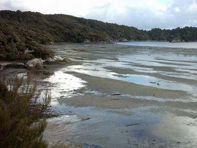 Stewart Island/Rakiura, New Zealand