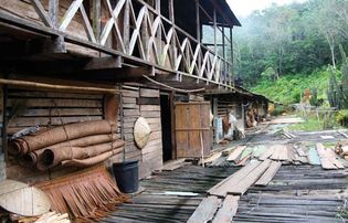 longhouse