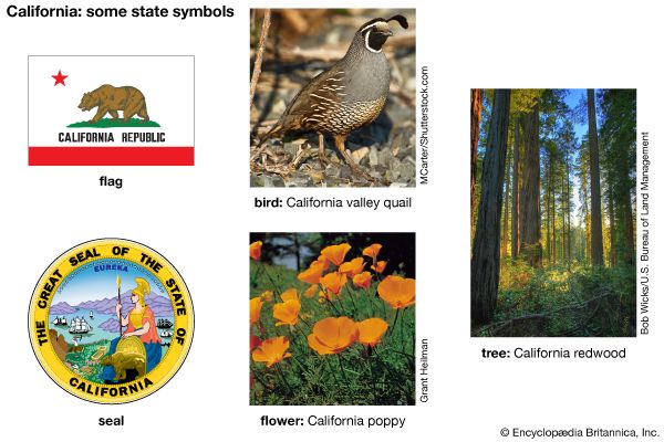 California state symbols