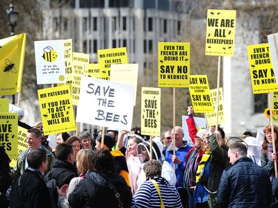 protesters against neonicotinoids