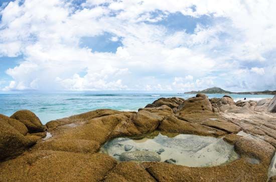 Baja California Sur: Cabo Pulmo