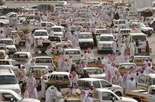 Buraydah, Saudi Arabia: date market