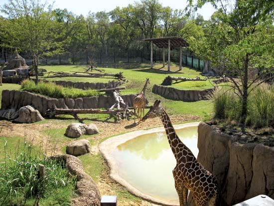 Dallas Zoo