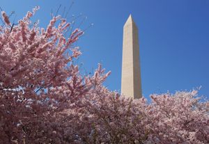 Washington Monument