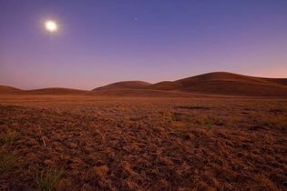 California grassland