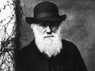 Charles Darwin