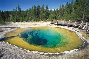 Yellowstone National Park