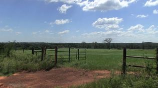 Track the Mexican and American settlement of Texas leading up to the Texas Revolution and independence