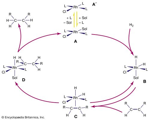 catalytic hydrogenation of alkenes by a rhodium complex