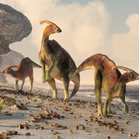 Three parasaurolophus stand on a rock beach. Pterasaurs fly over head and a small mammal watches the dinosaurs as they meander along the water's edge.