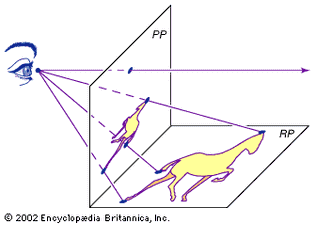 Projective drawingThe sight lines drawn from the image in the reality plane (RP) to the artist's eye intersect the picture plane (PP) to form a projective, or perspective, drawing. The horizontal line drawn parallel to PP corresponds to the horizon. Early perspective experimenters sometimes used translucent paper or glass for the picture plane, which they drew on while looking through a small hole to keep their focus steady.