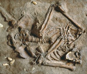 Neanderthal remains at Kebara, Israel